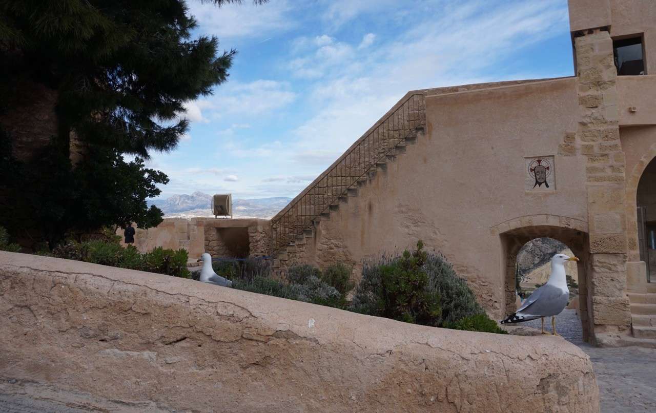 Seagull Castillo De Santa Barbara Madrid Ingl s